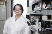 Dr. Radhashree Maitra